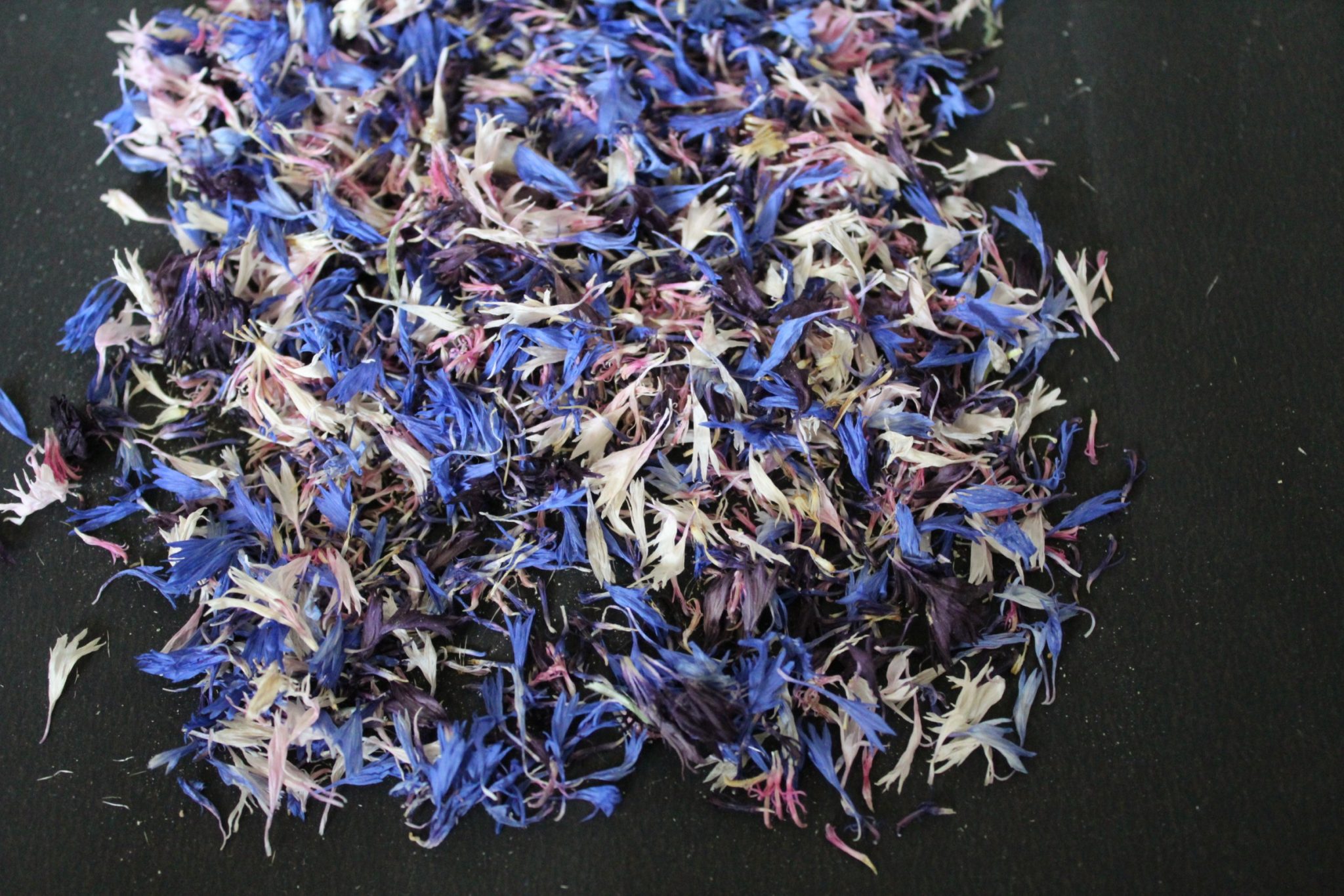 Buy Dried Blue Cornflower Petals | BloomyBliss online flower shop