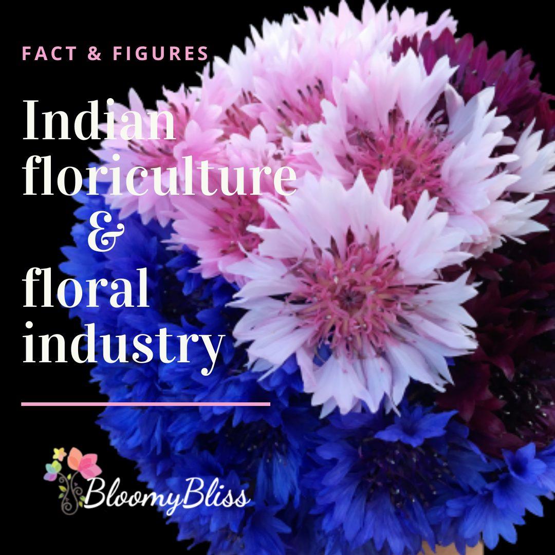 Floriculture In India