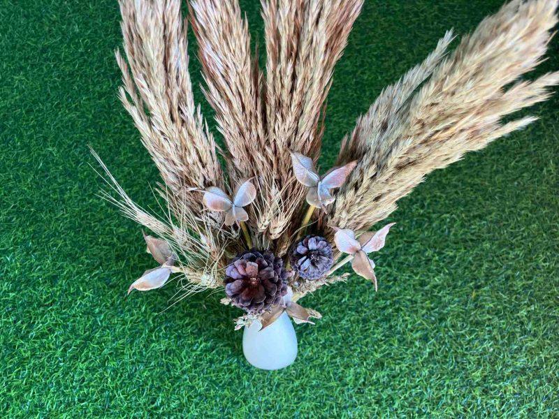 dried-pampas-grass-pinecones