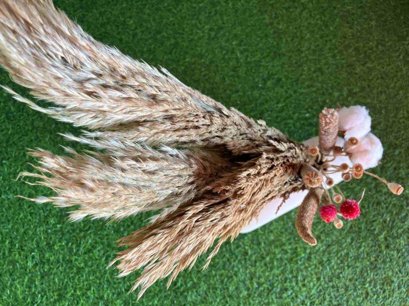 natural-dried-pampas-and-gomphrena-bunch