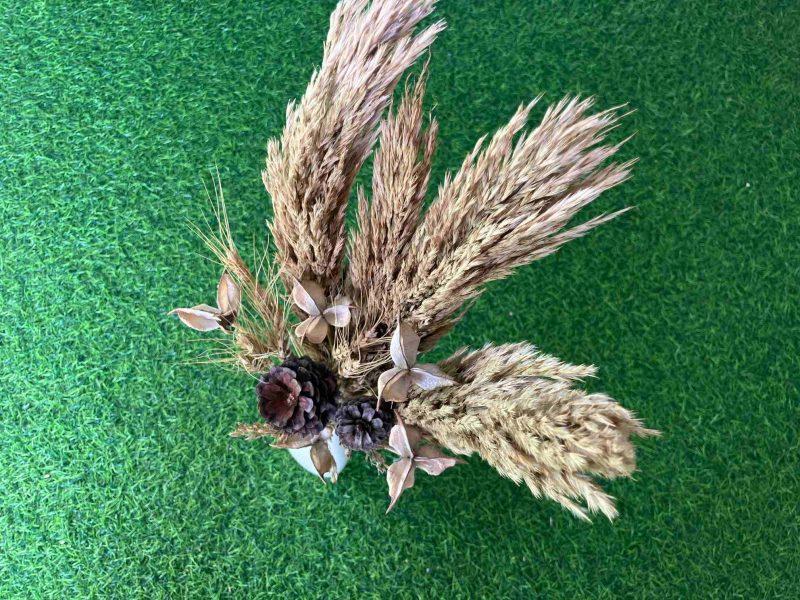 dried-pampas-grass-pinecones