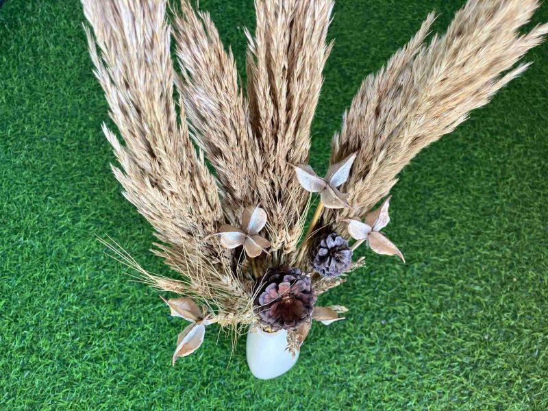 dried-pampas-grass-pinecones