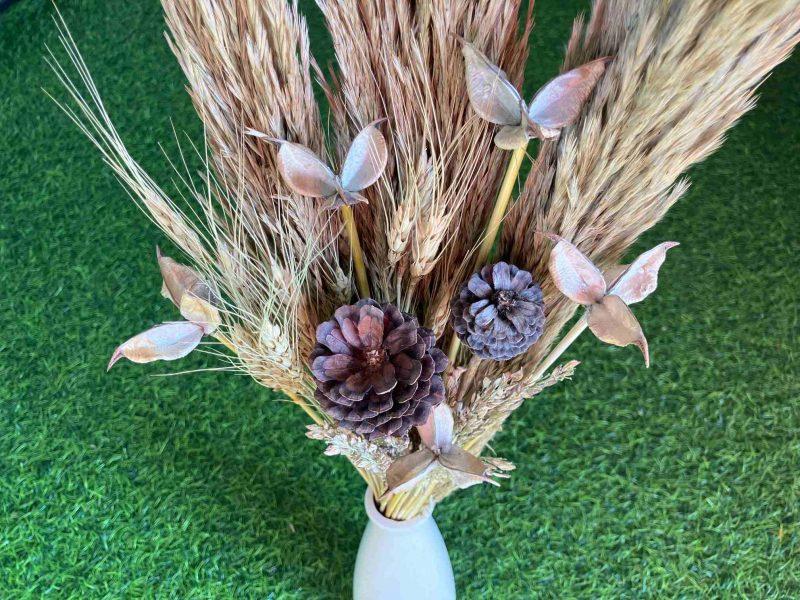 dried-pampas-grass-pinecones