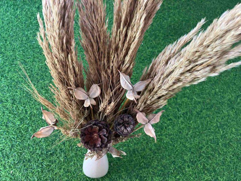 dried-pampas-grass-pinecones