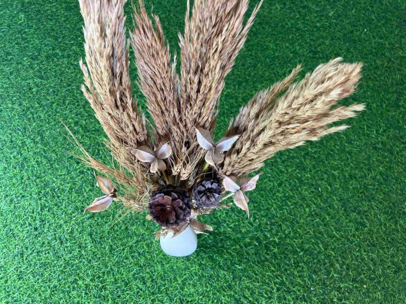 dried-pampas-grass-pinecones