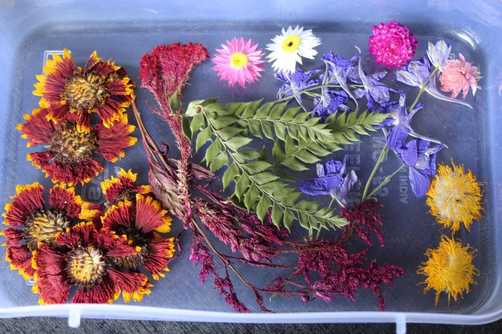 Buy Mixed Organic Natural Dried Flowers for Resin Jewellery DIY Art Craft