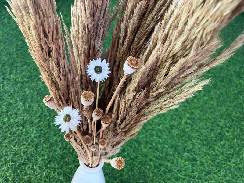 dried-pampas-grass-with-acroclinium-flowers