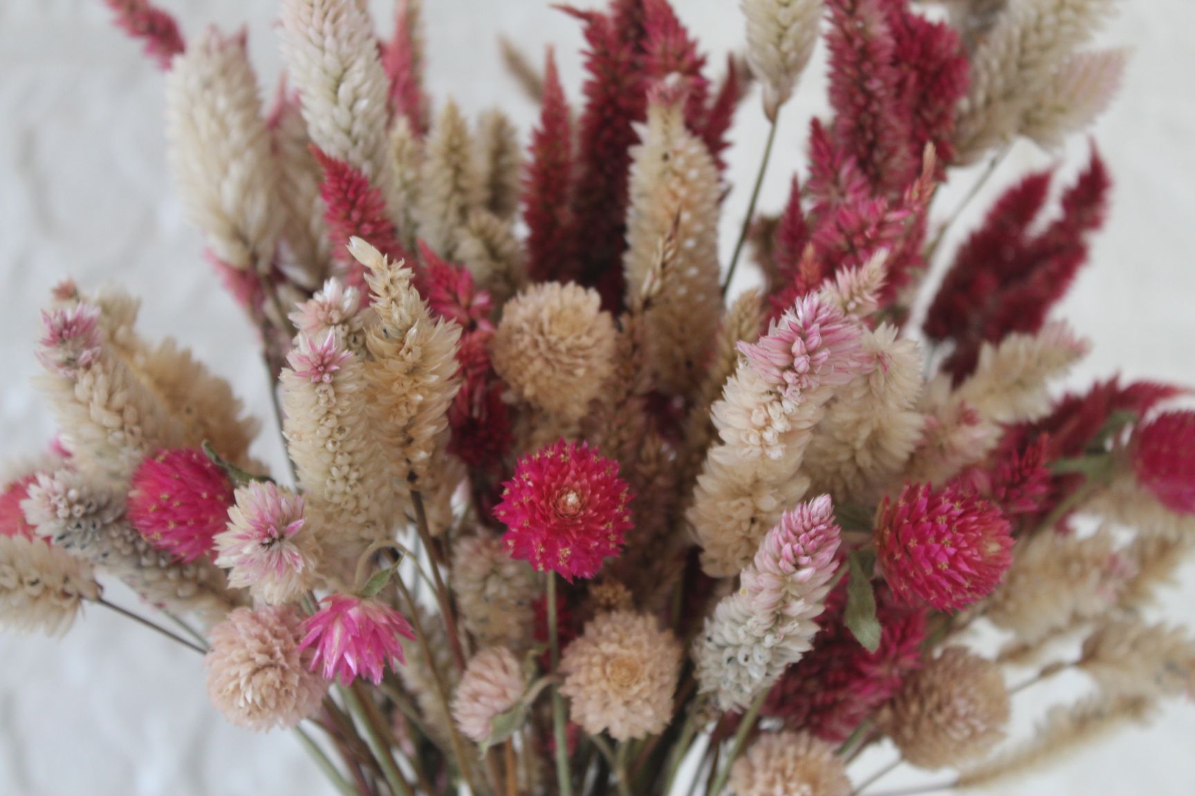 Buy Dried Pink Flowers bunch With Decorative Box | BloomyBliss