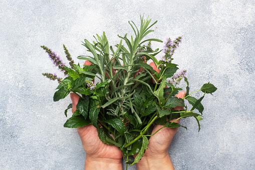 Rosemary Oil Skin/Hair Benefits