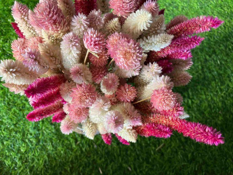 pink-blush-dried-flowers-bunch