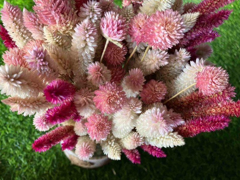 pink-blush-dried-flowers-bunch