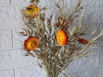 yellow-shine-dried-flowers-bunch