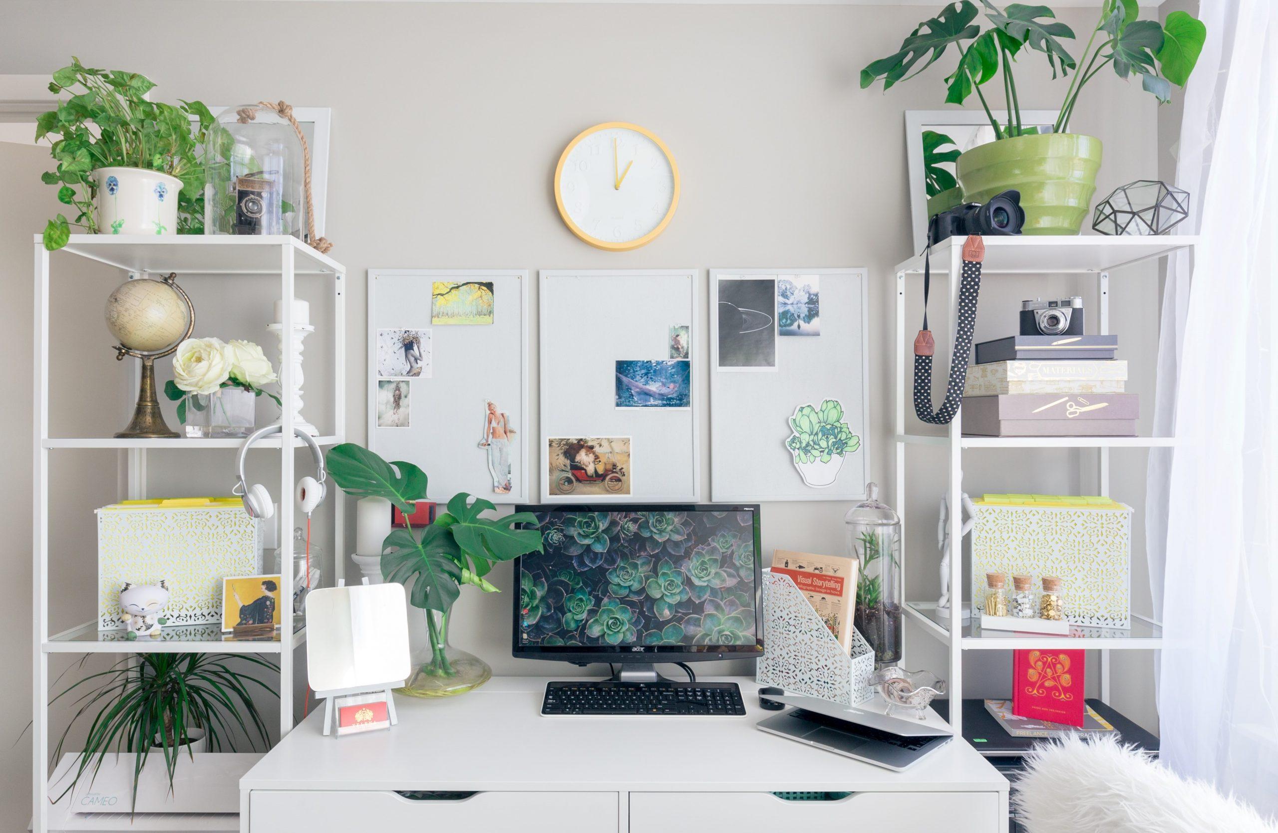 9 Plants to keep in your Home Office