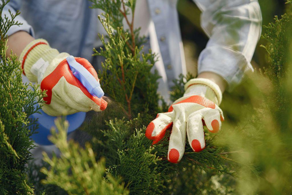 gardening gloves