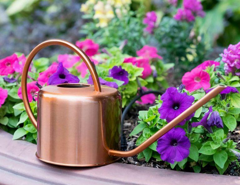 watering can