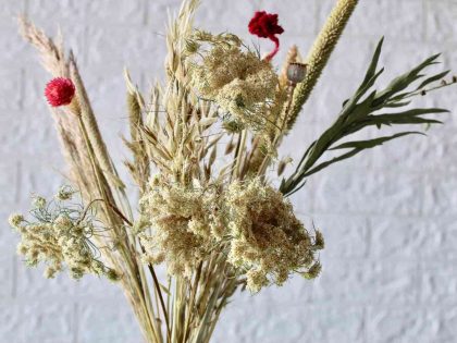 queen-annes-lace-dried-flower-bouquet