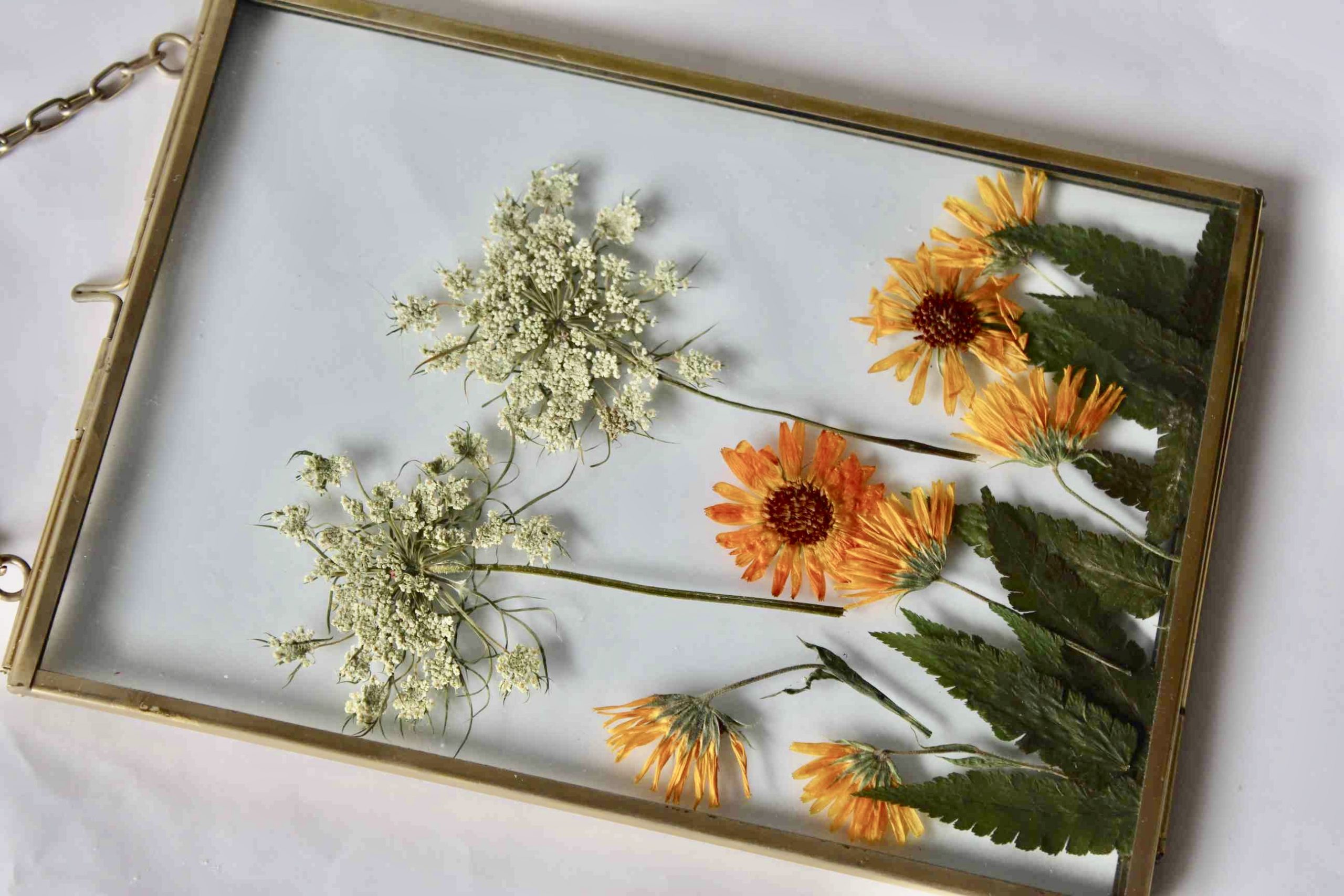 Pressed real flower Frame, Pressed flowers Art, Home Decor