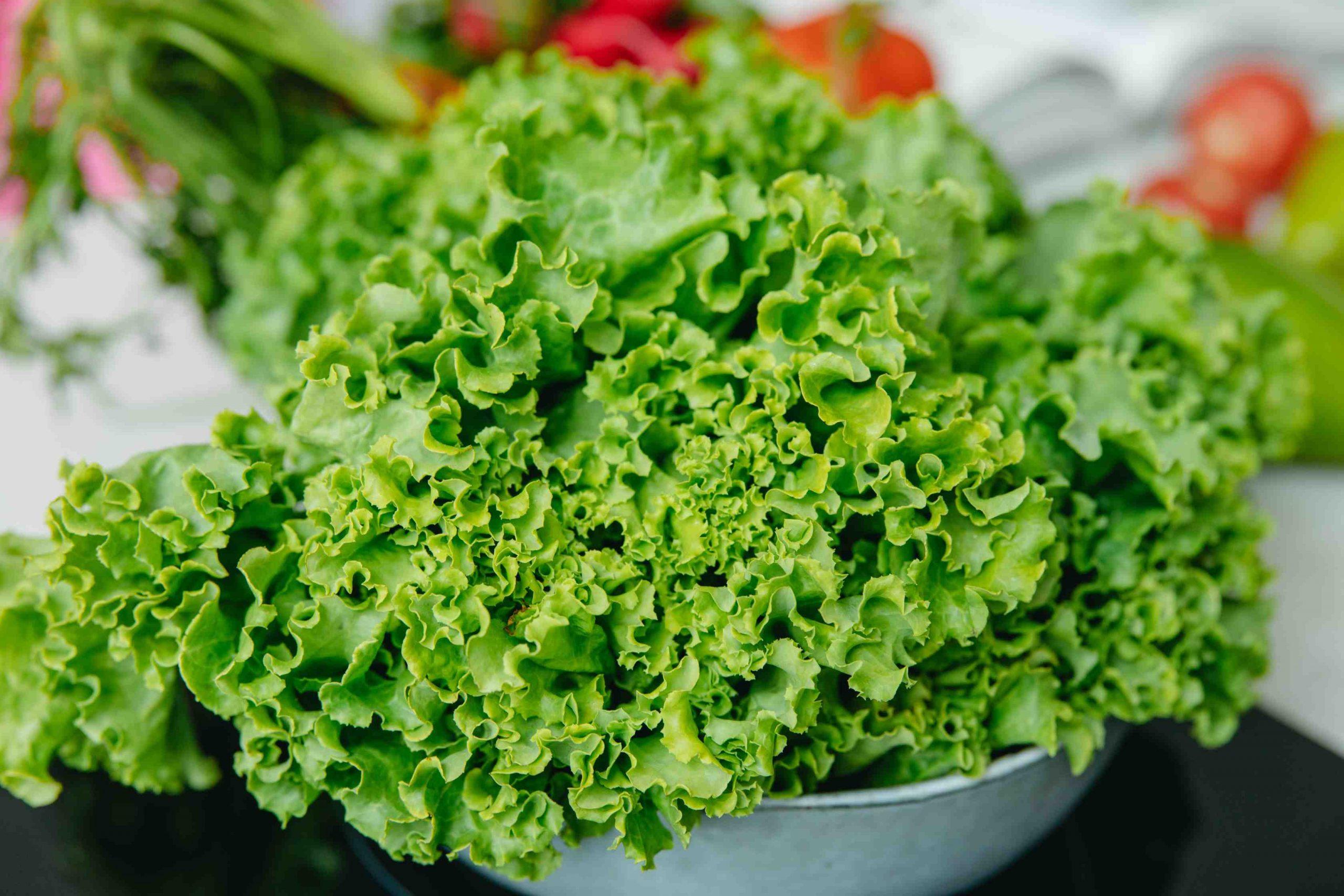 Health Benefits of Eating Green Leafy Vegetables