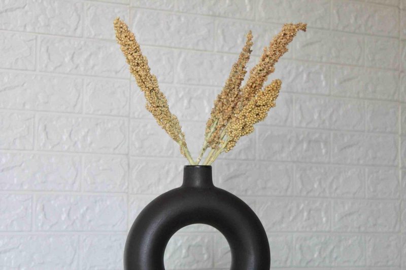 dried-millet-grass