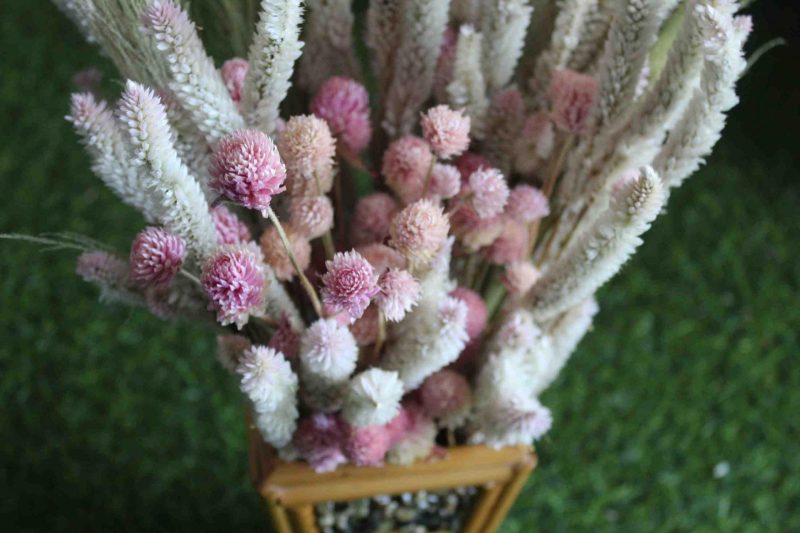 Pink _Heavy_ Punch _Dried_ Flowers_ Bunch