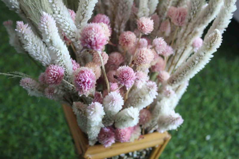 Pink _Heavy_ Punch _Dried_ Flowers_ Bunch