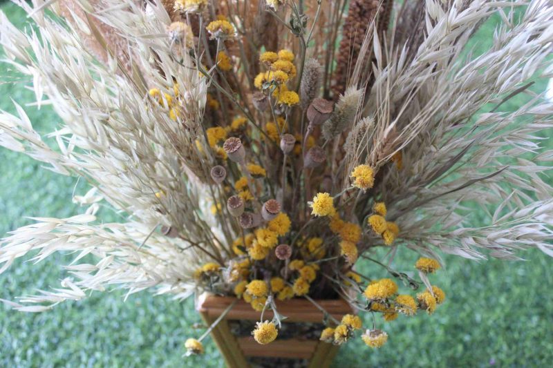 golden-heavy-punch-dried-flowers-bunch