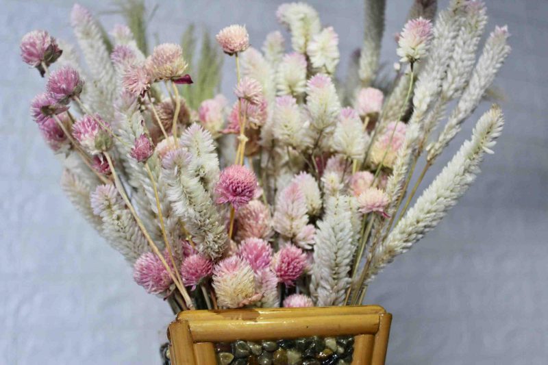 Pink _Heavy_ Punch _Dried_ Flowers_ Bunch