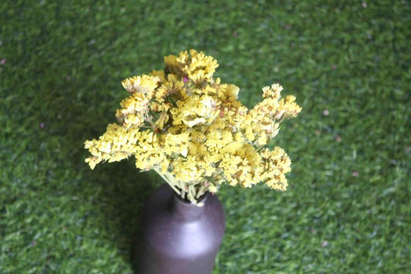 dried-yellow-statice-flower-bunch