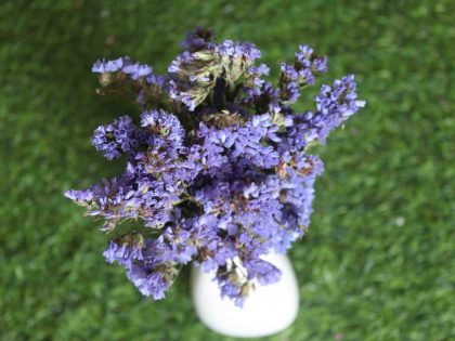 dried-blue-statice-flower-bunch