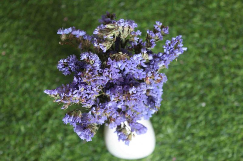 dried-blue-statice-flower-bunch