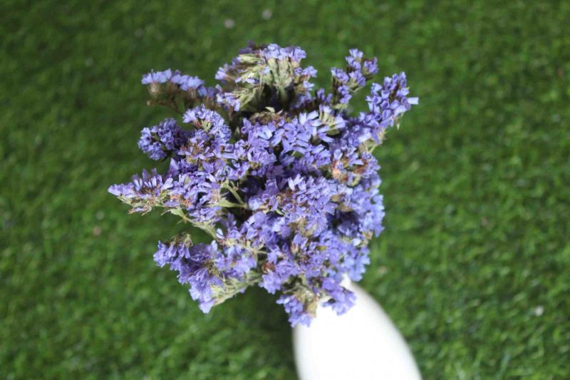 dried-blue-statice-flower-bunch