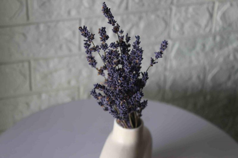 dried-lavender-bunch