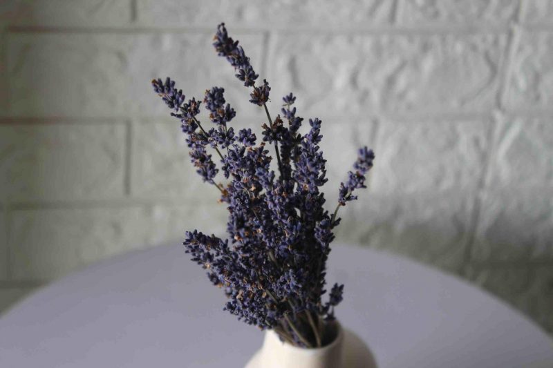 dried-lavender-bunch