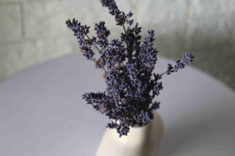 dried-lavender-bunch