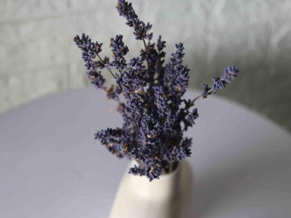 dried-lavender-bunch