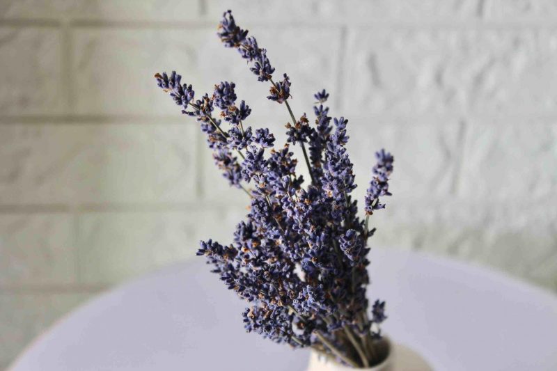 dried-lavender-bunch