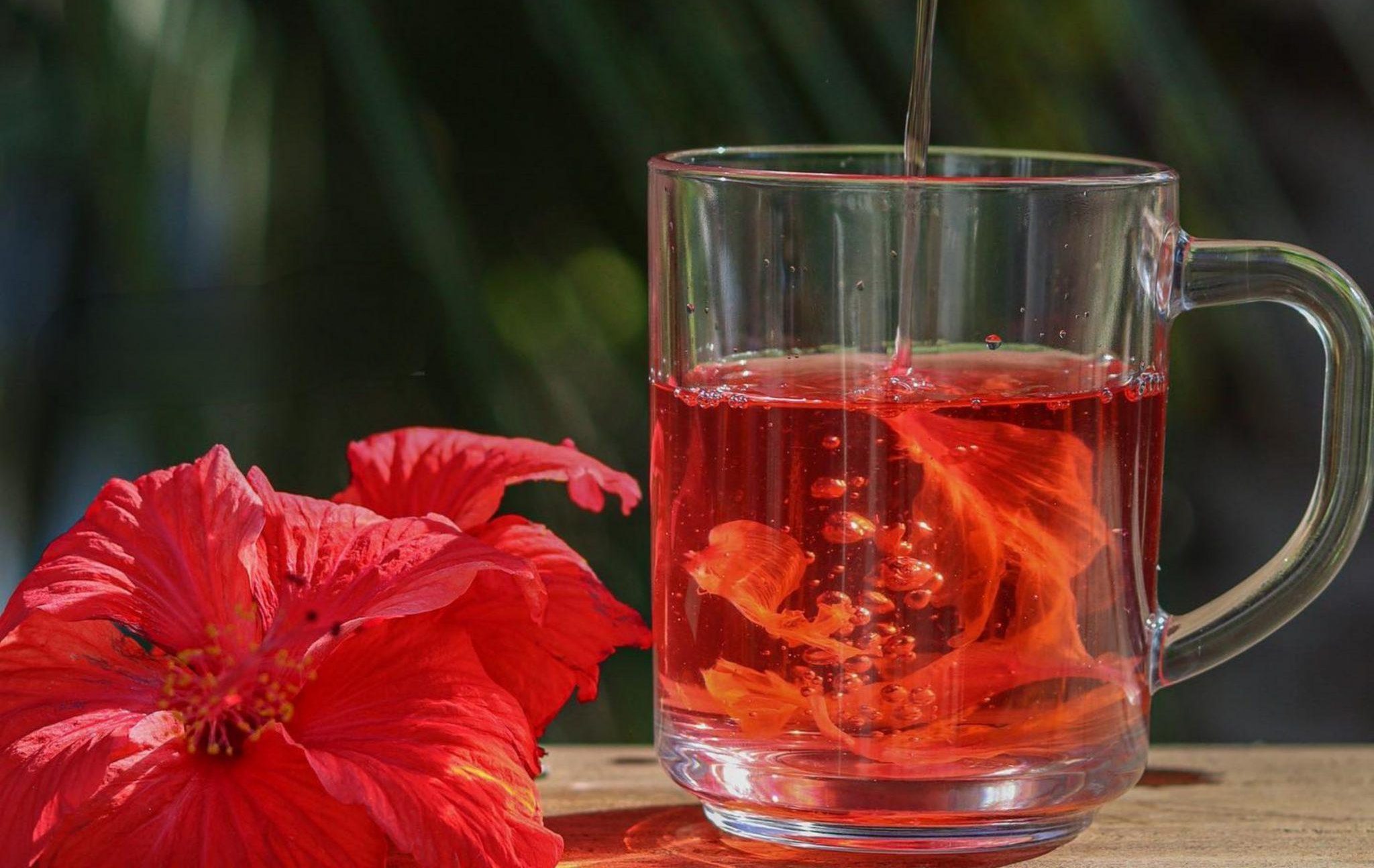 The Health Benefits of Hibiscus Tea: What You Need to Know