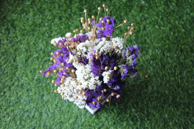 white-violet-big-dried-flowers-bunch