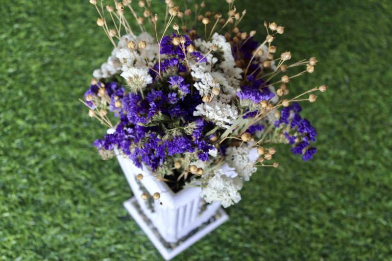 white-violet-big-dried-flowers-bunch