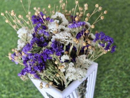 white-violet-big-dried-flowers-bunch