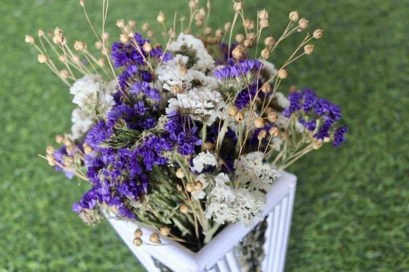 white-violet-big-dried-flowers-bunch