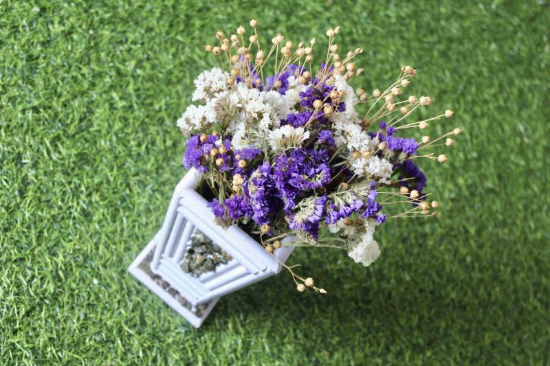 white-violet-big-dried-flowers-bunch