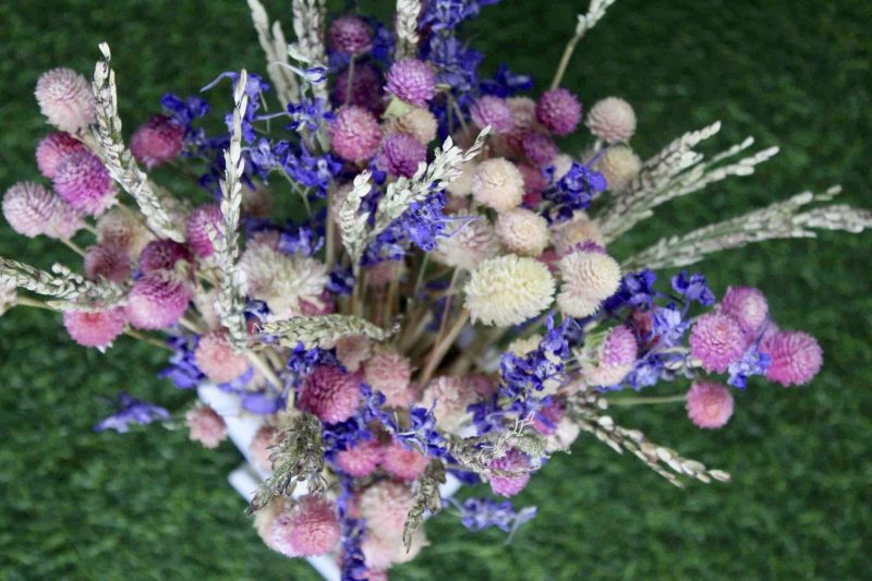 Pink_ Shine_ big_ Dried _flowers _bunch