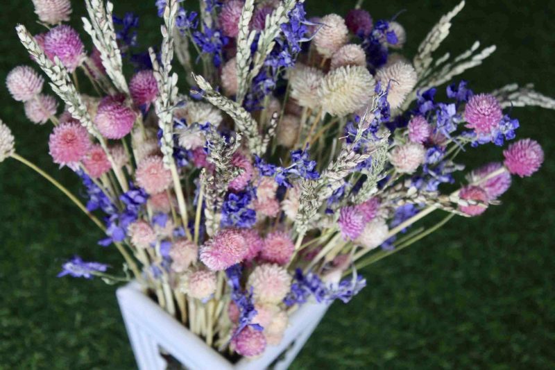 Pink_ Shine_ big_ Dried _flowers _bunch