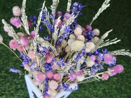 Pink_ Shine_ big_ Dried _flowers _bunch