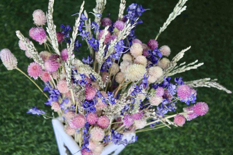 Pink_ Shine_ big_ Dried _flowers _bunch