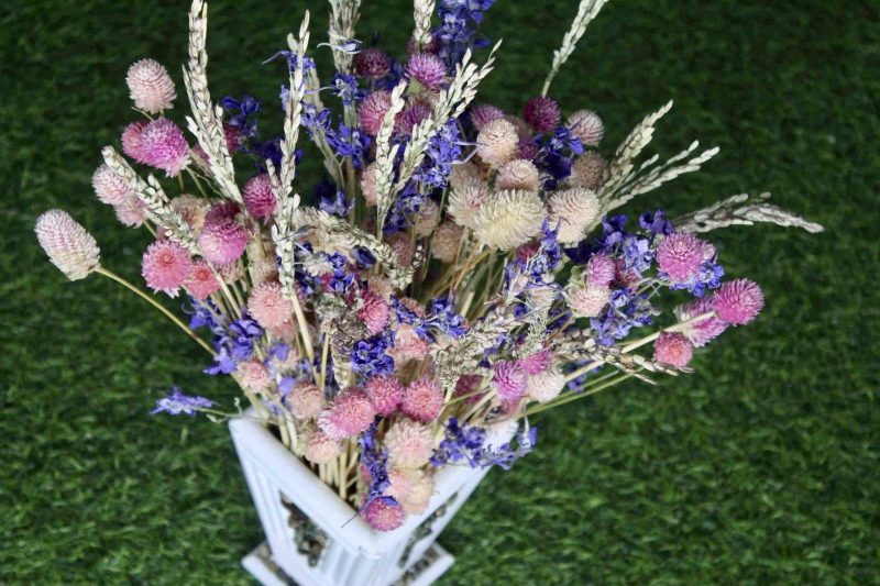 Pink_ Shine_ big_ Dried _flowers _bunch