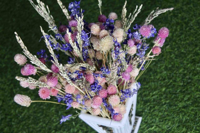 Pink_ Shine_ big_ Dried _flowers _bunch