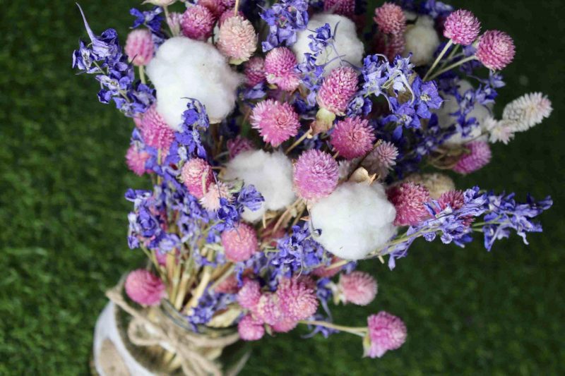 Pink_ Beauty _big_ Dried _flowers _bunch