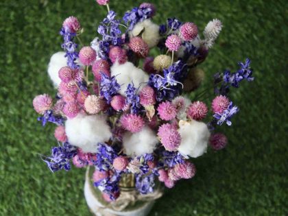 Pink_ Beauty _big_ Dried _flowers _bunch